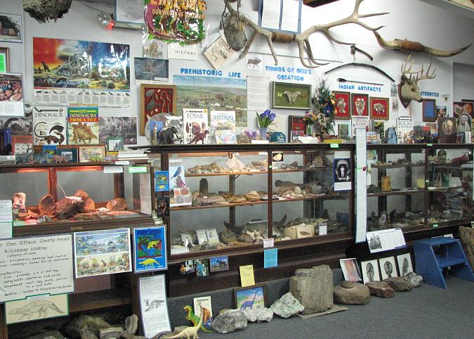 Kansas dinosaur display at Ottawa County Museum.
