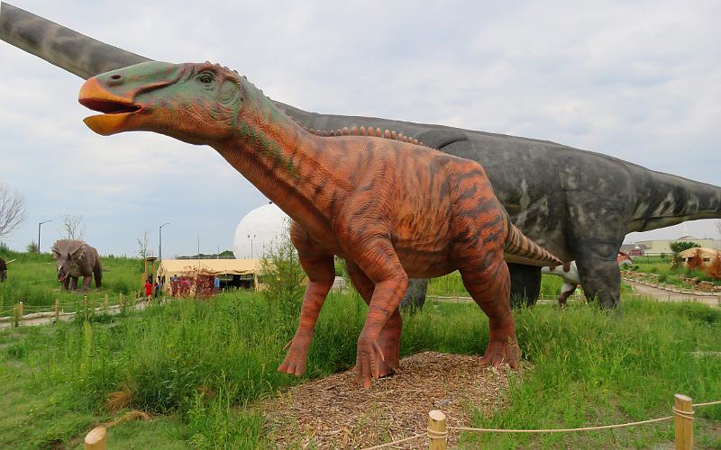 Edmontosaurus - Field Station: Dinosaurs