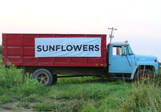 Eleanor's Sunflower Festival - Scranton, Kansas
