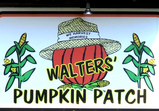 Walters Pumpkin Patch - Burns, Kansas