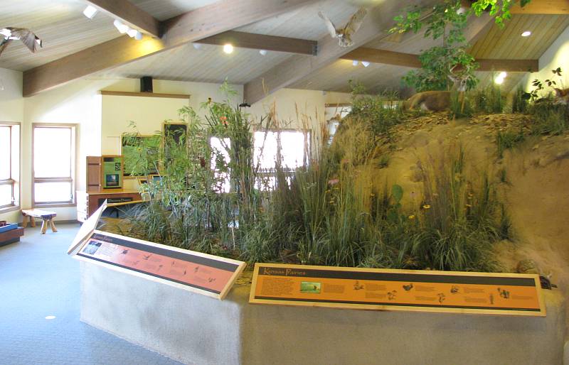 Dillon Nature Center display gallery
