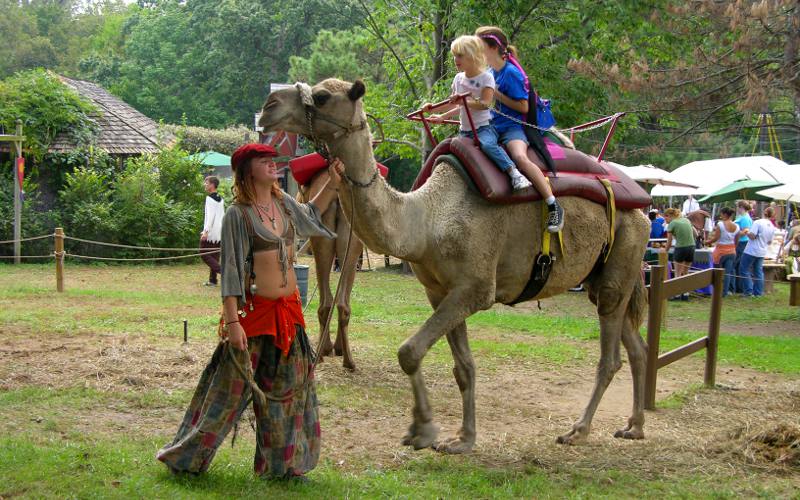 Camel ride at Kansas City Renaissance Festival