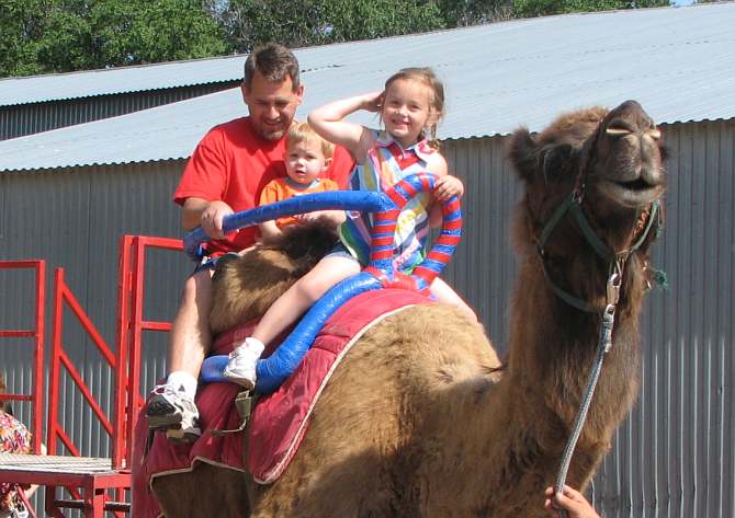 Camel riding at Hedrick's Exotic Animal Farm
