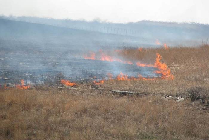 Fire on the Kansas Prairie.