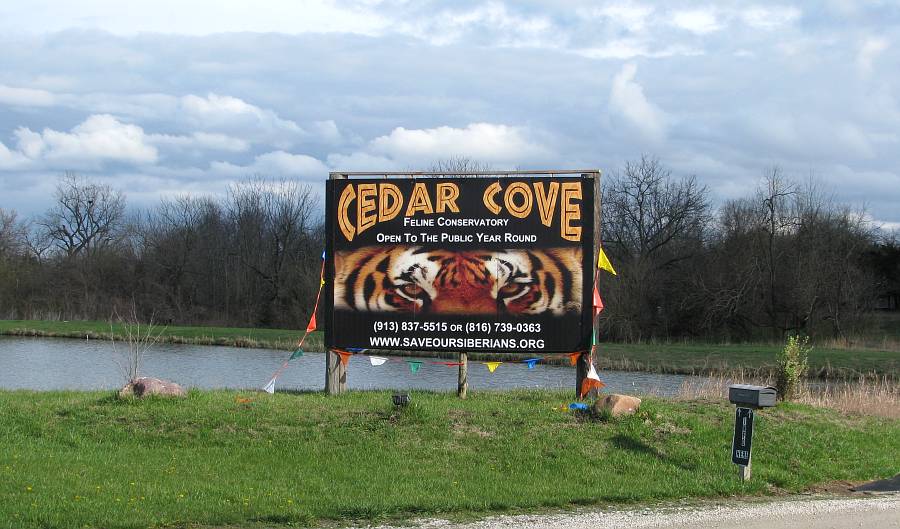 Cedar Cove Feline Conservatory and Sanctuary - Louisburg