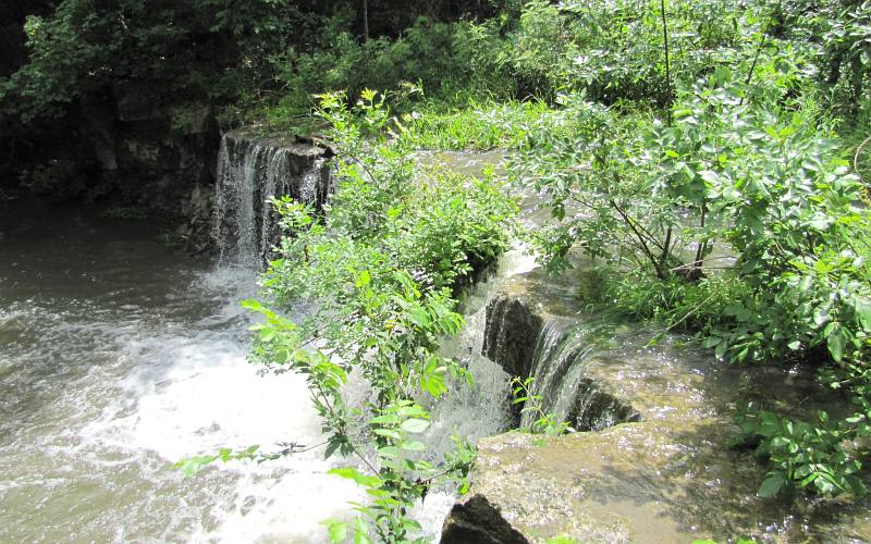 Lower Idlewild Falls