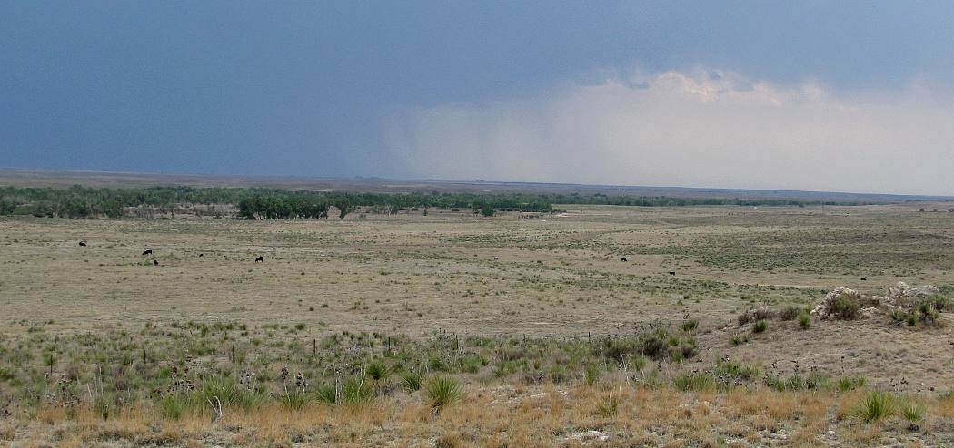 Cimarron National Grassland