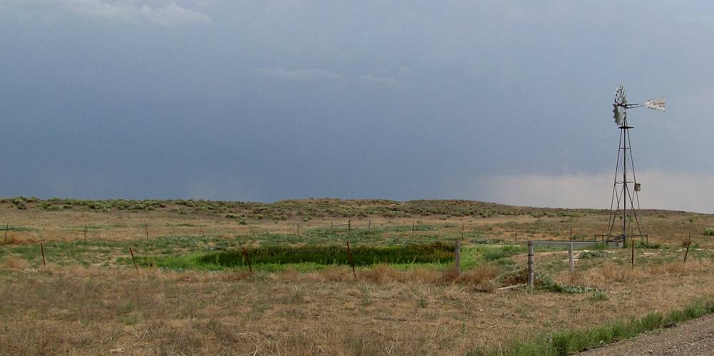 Artesian well in Cimarron National Grassland