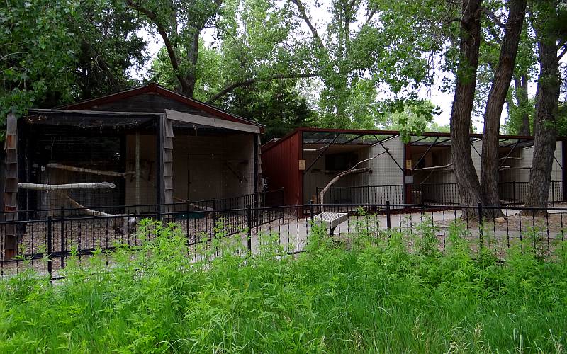 Birds of prey exhibit at Milford Nature Center - Kansas