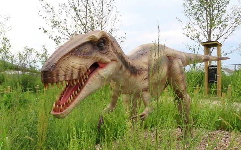 Dryptosaurus - Field Station: Dinosaurs