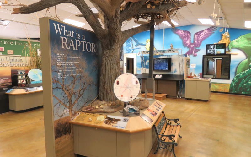 Raptor Center - Great Bend Brit Spaugh Zoo