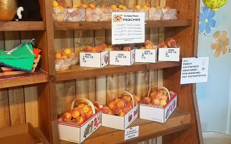 Peaches - Williamsburg, Kansas