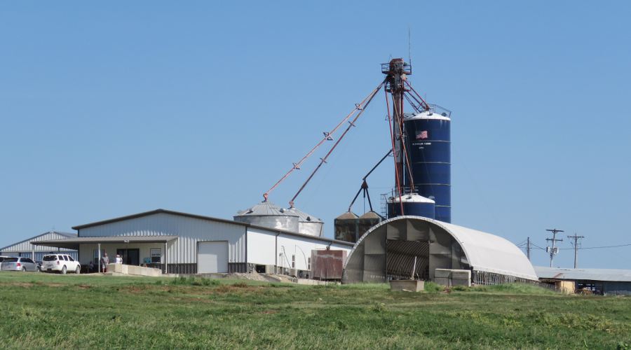 Hildebrand Farms Dairy