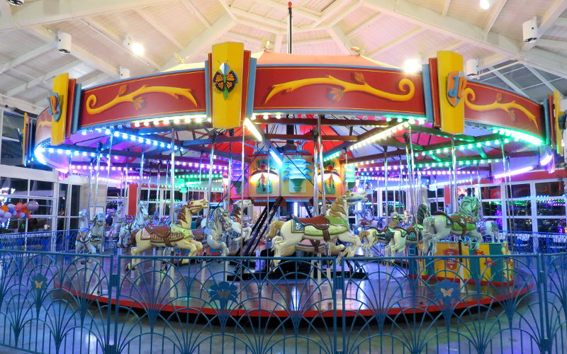 Joyland Carousel - Wichita Botanica