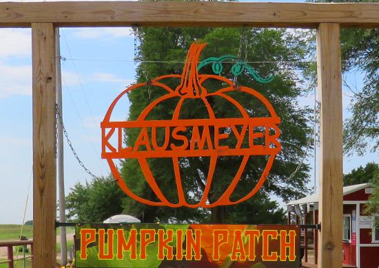 Klausmeyer Sunflower Fields - Clearwater, Kansas.