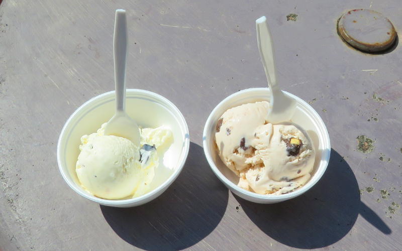 vanilla crunch and peanut butter chocolate nut ice cream