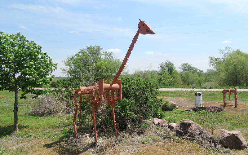 Giraffe sculpture