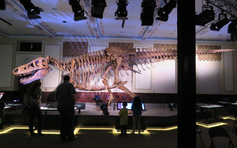 Tyrannosaurus Rex - Chicago’s Field Museum