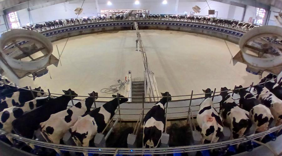 McCarty Family Farms 120 stall milking carousel