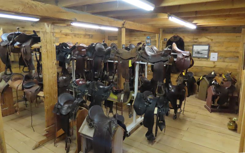 Saddle Collection - Meade County Historical Museum