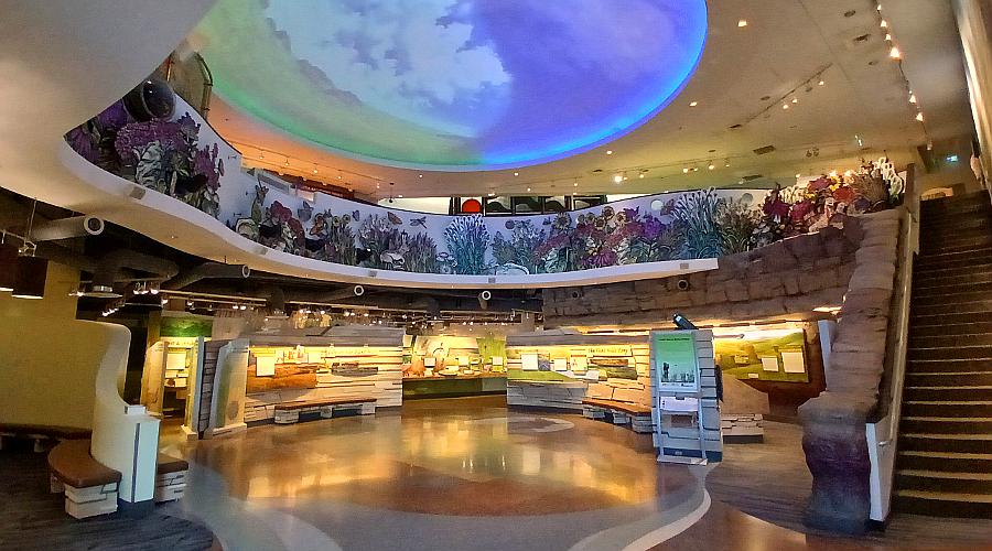 Center atrium of the FLint Hills Discovery Center