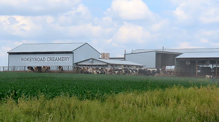 Rokeyroad Creamery