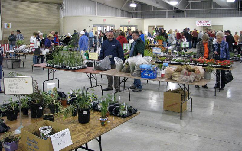 Plant sale at the Kansas Mennonite Relief Sale