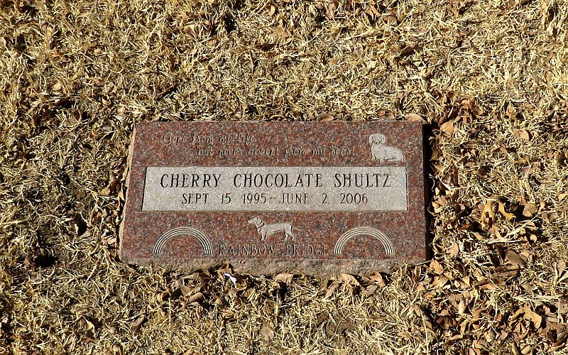 Dog head stone - Memorial Park Cemetery