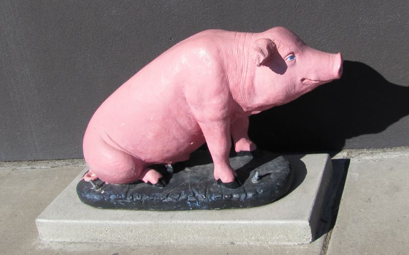 Danny Edward's Boulevard BBQ pig