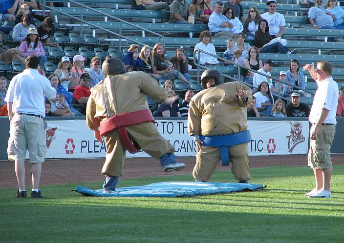 Kansas City T-Bones Partial Logo - American Association of