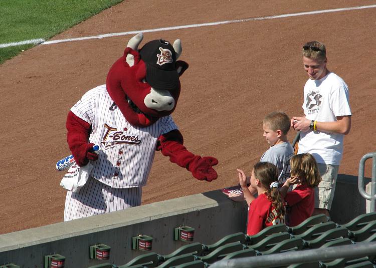 T-Bone mascot - Sizzle