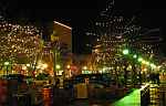 Massachusetts Avenue Christmas lights