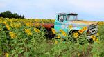 Shively Farms - Berryton, Kansas