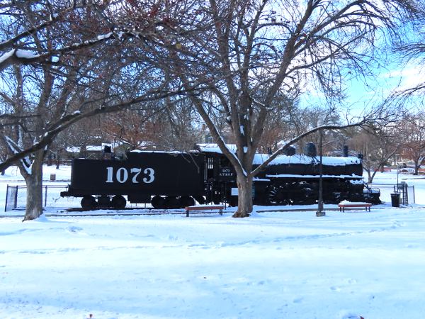Bison Stampede - Big Basin Prairie Preserve Wildlife Area