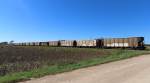 Railroad Cars - CLyde, Kansas