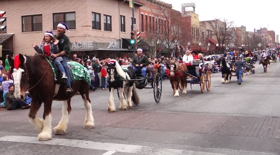 Feathered Friends Horse Society in the Lawrence Christmas Parade
