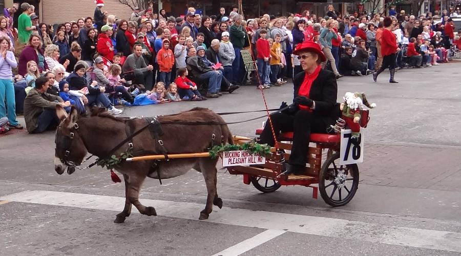 Rocking Horse Ranch minature horse in the Lawrence Christmas Parade