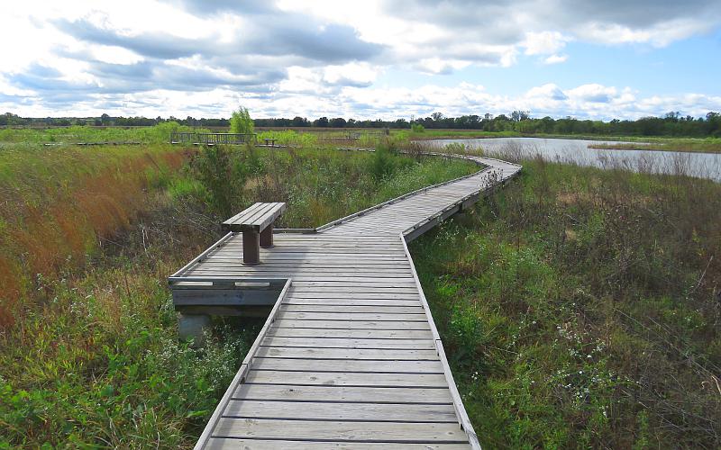 March boardwalk at Baker Wetlands Discovery Center