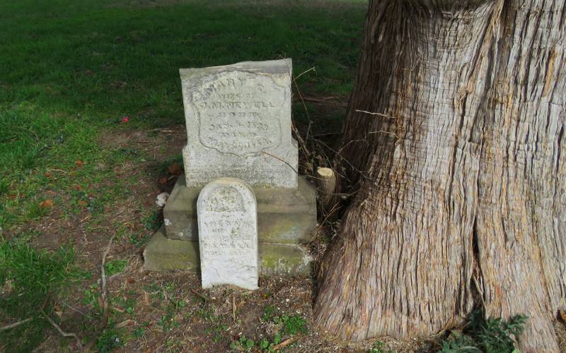 Mary E. Strickland Newell gravestone - Fairview Cemetery