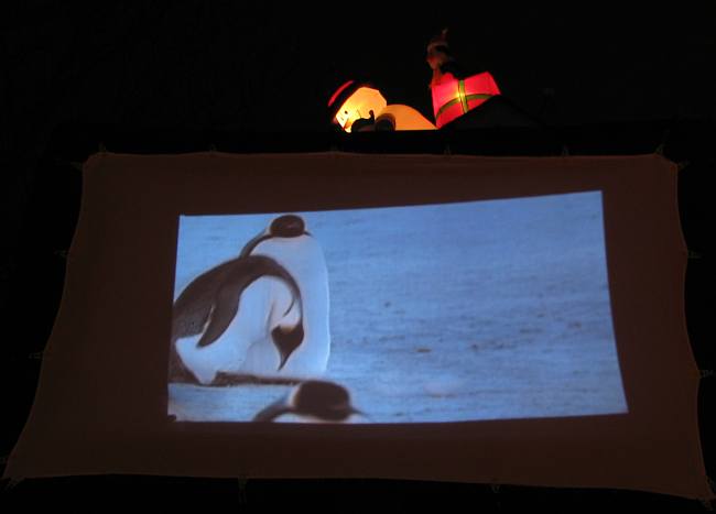 Penguin video at Paulie's Penguin Playground.