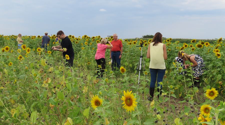 Shively Farms (Berry Hill Upick Farm)