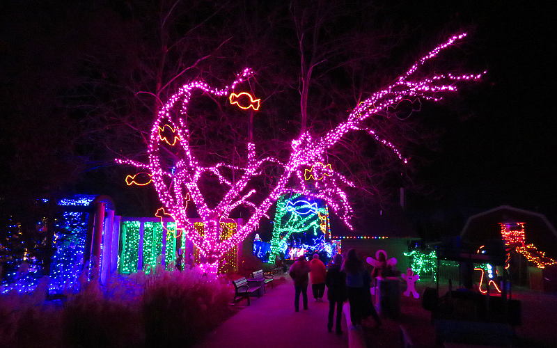 Zoo Lights - Topeka, Zoo