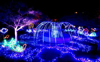 Illuminations At Botanica - Wichita, Kansas